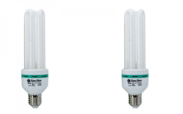 Led Sang