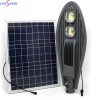 Đèn Đường Chiếc Lá Năng Lượng Mặt Trời 100w
