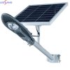 Đèn Đường Chiếc Lá Năng Lượng Mặt Trời 50w